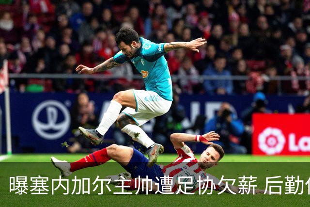 曝塞内加尔主帅遭足协欠薪 后勤保障糟糕球员被逼点外卖
